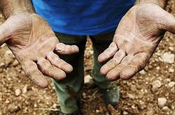 Українці найчастіше потрапляють у трудове рабство в Росії 