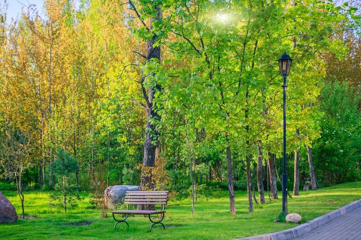 В Україні захистять парки від забудов «зеленими лініями»