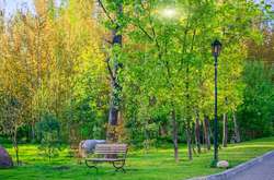 В Україні захистять парки від забудов «зеленими лініями»