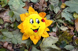 Погода на п’ятницю: в Україні буде сухо та сонячно