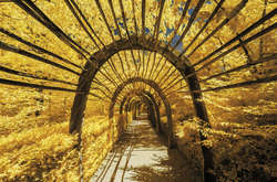 Потойбічна краса. Неймовірні фото Франції в інфрачервоному діапазоні