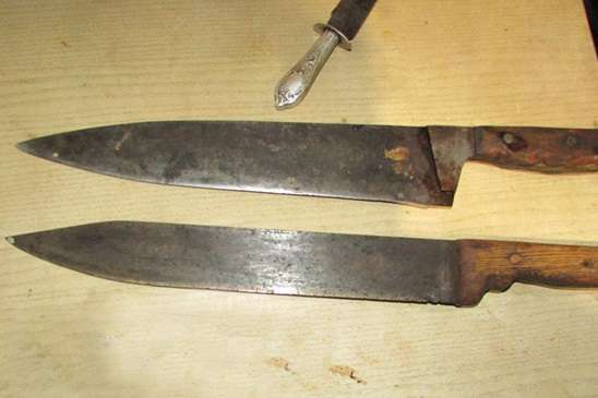 На Полтавщині двоє братів накинулися на поліцію з ножами і вилами