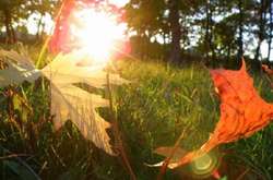 Тепло і без опадів: синоптики розповіли про суботній погоді в Одесі