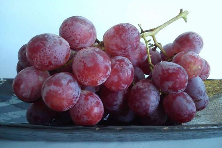 Виноградная кожура защищает от самого смертоносного рака