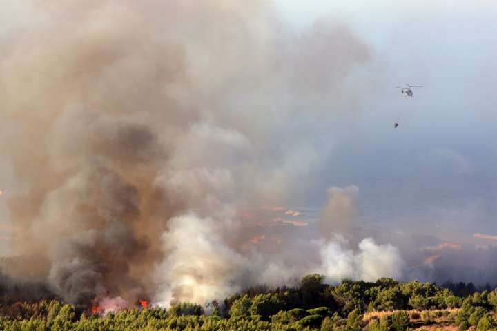 Через лісові пожежі під Лісабоном евакуювали сотні людей