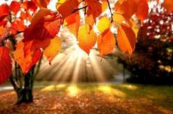 &laquo;Бабине літо&raquo; протримається не менше тижня