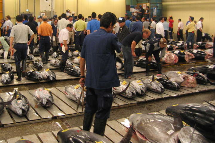В Японии закрылся крупнейший в мире рыбный рынок