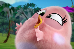 Шотландские врачи прописывают наблюдения за птицами в качестве лекарства