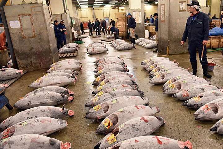 У Токіо закрили найбільший рибний ринок світу