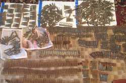 Під час обшуку у помешканні киянина виявлено&nbsp;893 патрони