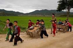 Майже 40% жителів КНДР недоїдають