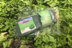 Дизайнер выпустил шлепанцы из салата. Специально для веганов