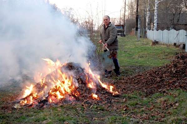 Вінничанам нагадали, що спалювання листя – небезпека для здоров’я