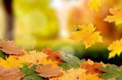 В Україні пануватиме антициклон Viktor: прогноз погоди на 10 жовтня