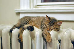 «Чи готовий Київ до опалювального сезону?»