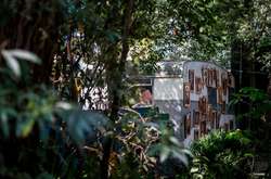 Как выглядит жизнь самой большой общины сквоттеров в Амстердаме. Фотогалерея