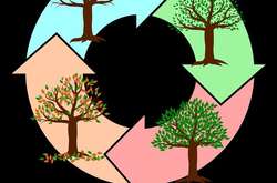  Зображення:  kmicican / pixabay.com, CC0 1.0 Universell (CC0 1.0)   