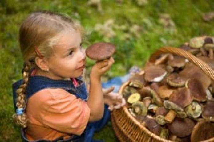 У Києві чотири дитини отруїлися грибами: найменшій – 2 роки