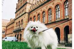 Осенние Черновцы: опубликованы красочные фото