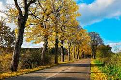 Синоптики обіцяють сонце та +23: прогноз погоди на 12 жовтня