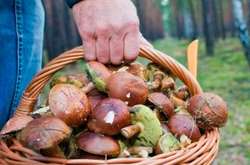 На Херсонщині батько і дочка померли, отруївшись грибами