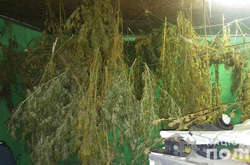 У мешканця Черкащини поліція вилучила понад 60 кг коноплі