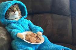 У посольстві США в Австралії вибачилися за конфуз із запрошеннями на вечірку