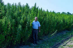 Мішель Терещенко продав конопляний бізнес