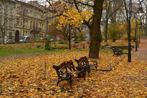 Cиноптик попередила: з 20 жовтня в Україну прийде похолодання 