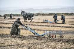 Кони, плуги и тракторы. Как прошел ежегодный чемпионат Великобритании по вспашке