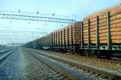 Ліс-кругляк вивозять із Сибіру до Китаю. Світлина з відкритих джерел