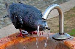 В Киеве побит 100-летний температурный рекорд