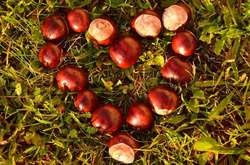 Останні теплі дні в Україні: сьогодні до +23