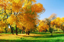 До вихідних в Україні збережеться тепла погода