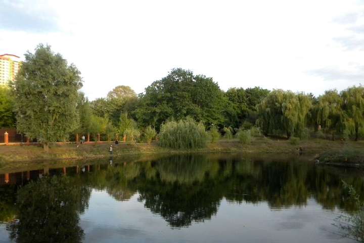 Озеро у київському парку розчистять за 43 млн грн