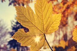 У восьми районах Одеської області вже стартував опалювальний сезон