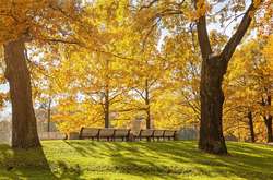 Сьогодні в Україні сонячно, температура до +23