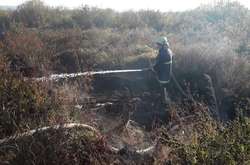  В результаті пожежі було знищено торф на площі 0,008 га 