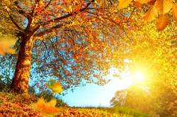 В Україні сьогодні сонячно, температура до +22