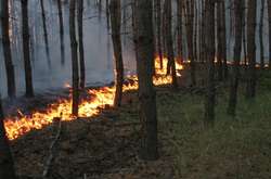 По Україні очікується найвищий рівень пожежної небезпеки