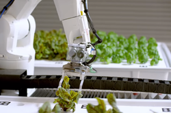 Американські підприємці створили повністю роботизовану ферму