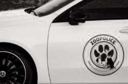 У Києві з’явиться зоополіція