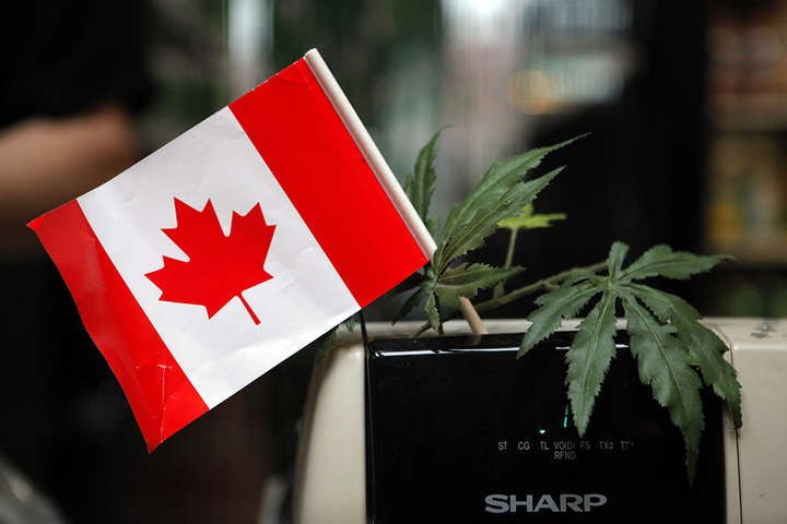 Магазини в Канаді розпродали усю марихуану через два дні після легалізації