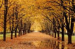 Синоптик радить діставати теплий одяг: в Україні на кілька днів похолодає 