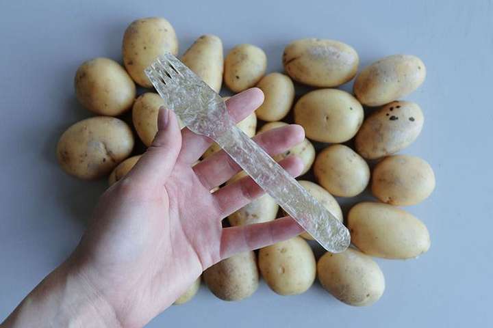 В Швеции студент создал пластик из картофеля