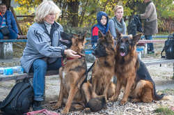 Международная выставка собак в Одессе: милые фото хвостатых участников