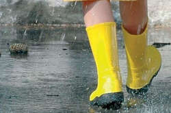 Дощі і сильний вітер: у Києві різко зміниться погода