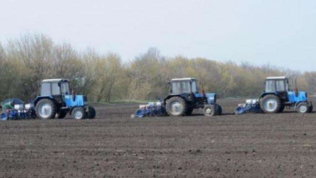 Українські аграрії засіяли 95% прогнозованої площі під озимі зернові