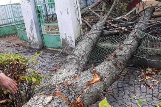 В Ужгороді буревій повалив дерева і пошкодив будівлі