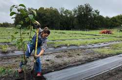 После развода Дженнифер Гарнер увлеклась фермерством